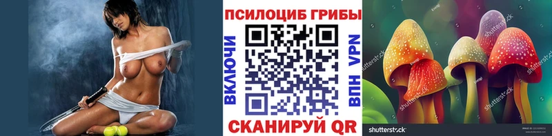 Псилоцибиновые грибы мицелий  Купить где  Никольск 