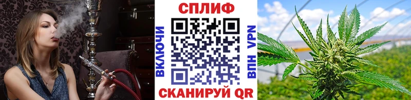 Купить где  Никольск  МАРИХУАНА индика 